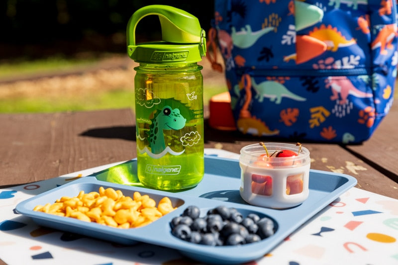 Nalgene product detail: 12oz On-The-Fly Kids Lock-Top Bottle with Graphics X0 — 12oz On-The-Fly Kids Lock-Top Bottle with Graphics
